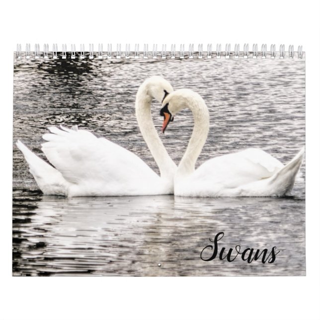 Calendario Swans of Spring Grove  (Tapa)
