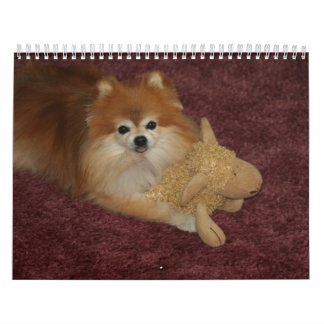 CALENDARIO SWEETIE POMERANIAN DE LA REINA