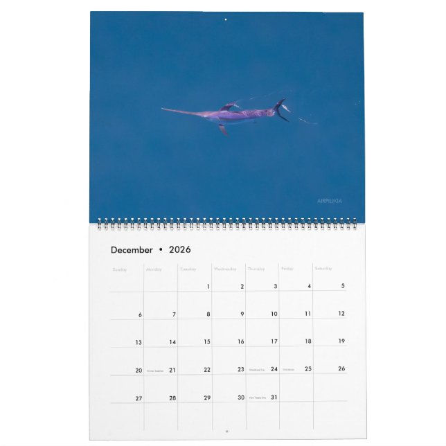 Calendario Swordfish Only Calendar 2026 (Dec 2026)