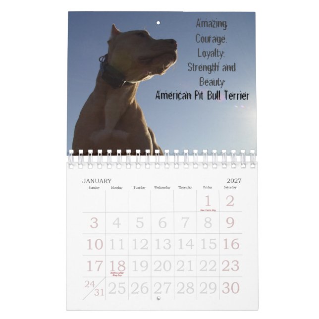 Calendario Sydney y Ziggi 2009 (Jan 2027)