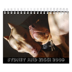 Calendario Sydney y Ziggi 2009