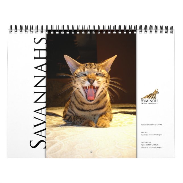 Calendario Syminou 2018 Gato de Savannah (Tapa)