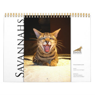 Calendario Syminou 2018 Gato de Savannah