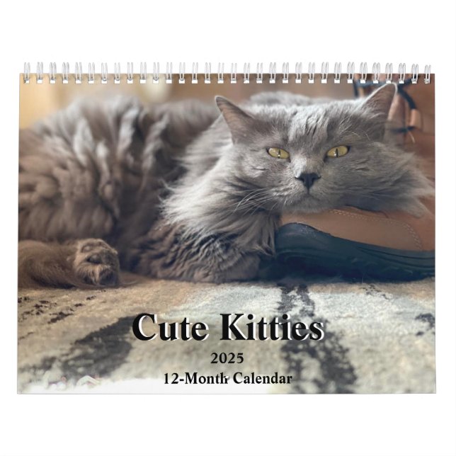 Calendario Tabby Cats 2025, Naranja ruso azul y jengibre (Tapa)