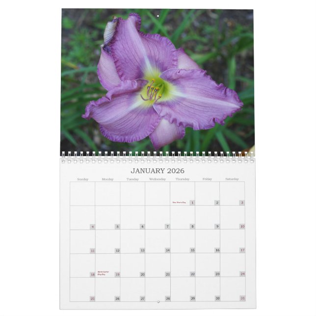 Calendario Tacto de los Daylilies de Sun II (Jan 2026)