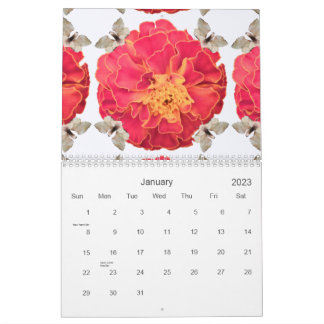 Calendario Tagete-ByRino