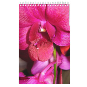 Calendario Tahití