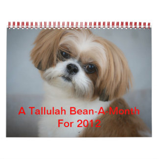 Calendario Tallulah Bean Calendar Cute Shih Tzu