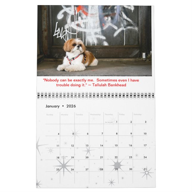 Calendario Tallulah Bean Calendar Cute Shih Tzu (Jan 2026)