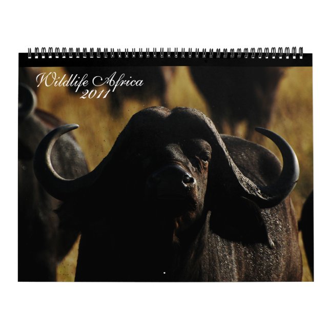 Calendario Tamaño enorme de 2011 animales africanos de los (Tapa)