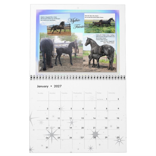Calendario Tamaño estándar de la foto frisia del caballo (Jan 2027)