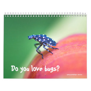 Calendario ~ ¿Te gustan los bichos?