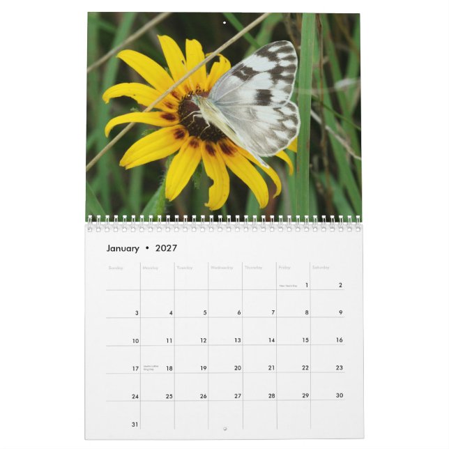 Calendario Tennessee Butterflies (Jan 2027)