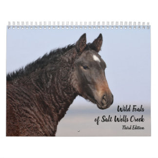 Calendario Terneros silvestres de Salt Wells Creek