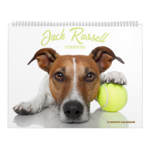 Calendario Terrier de Jack Russell
