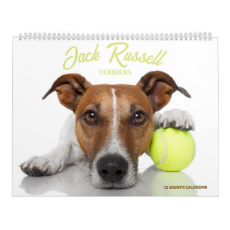 Calendario Terrier de Jack Russell