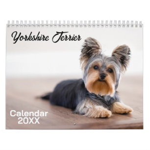 Calendario Terrier Dog de Yorkshire 2026