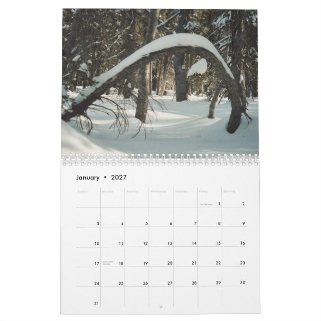 Calendario Tesoros ocultados 2011 (Jan 2027)