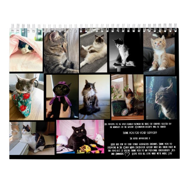 Calendario The Daily Mews, Cat Charity Calendar 2025 (Reverso)