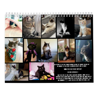 Calendario The Daily Mews, Cat Charity Calendar 2025