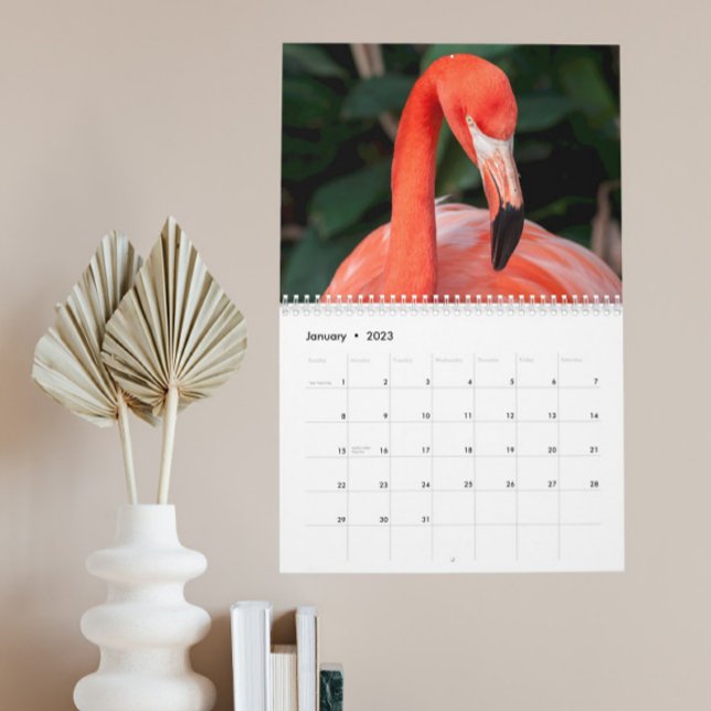 Calendario The Incredible Flamingo Calendar Choose Year (Subido por el creador)