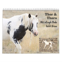 Thor & Thora en McCullough Peaks Caballos salvajes