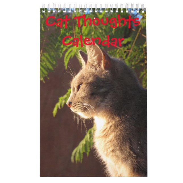 Calendario Thoughts (Tapa)