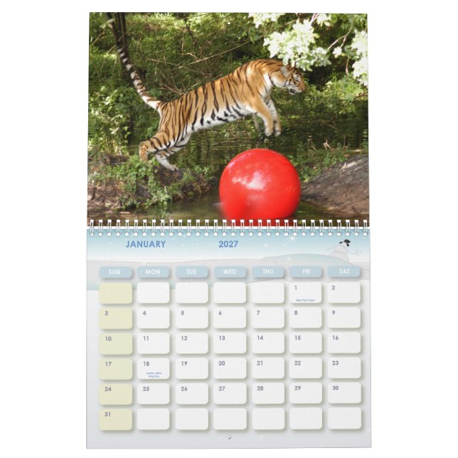 Calendario Tiger_Aroara012, tigre Auroara (Jan 2027)