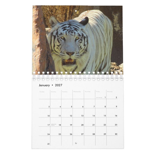 Calendario Tigre (Jan 2027)