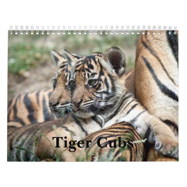 Calendario Tigre Cubs (Tapa)