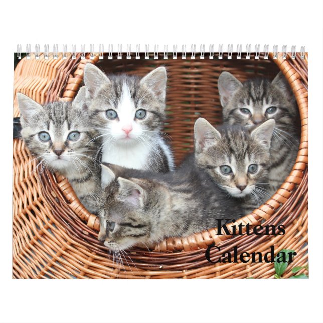 Calendario Tigre de Bengala de Cute Kittens 2025 (Tapa)