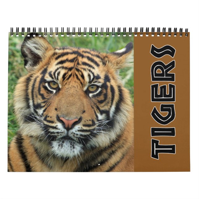 Calendario Tigre Salvaje Actual (Tapa)