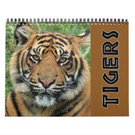 Calendario Tigre salvaje de 2022