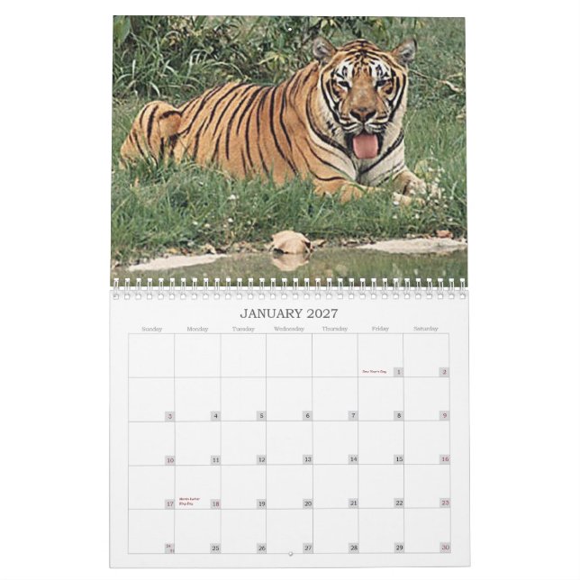 Calendario Tigres (Jan 2027)