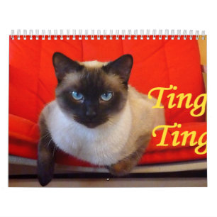 Calendario Tintín del tintín el gato siamés