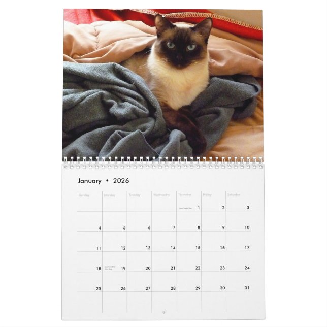 Calendario Tintín del tintín el gato siamés (Jan 2026)