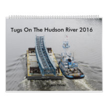 Tirones en el río Hudson 2016