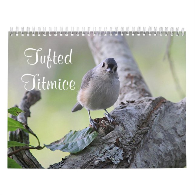Calendario Titmice copetudos (Tapa)