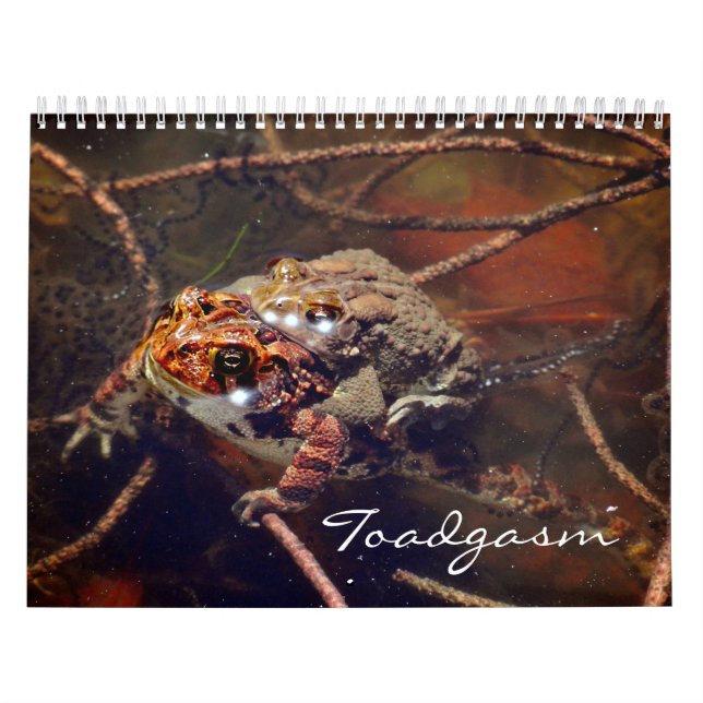 Calendario Toadgasm (Tapa)
