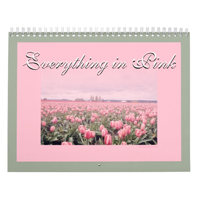 Calendario Todo está en Pink 2018 (Tapa)
