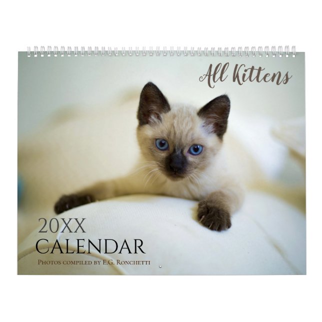 Calendario Todos los gatitos Cute 2025 gatos de regalo del ca (Tapa)