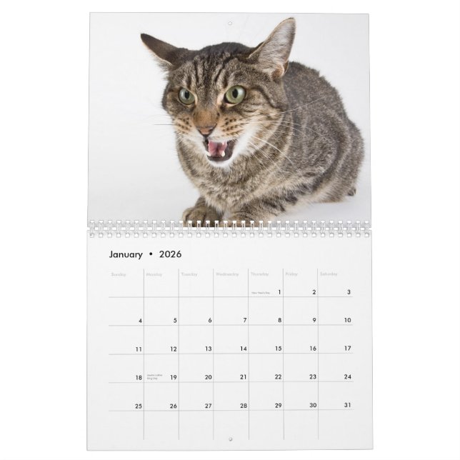 Calendario Tomas de los gatos del refugio (Jan 2026)