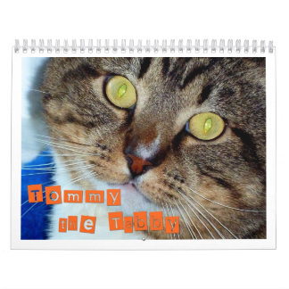 Calendario Tommy el Tabby