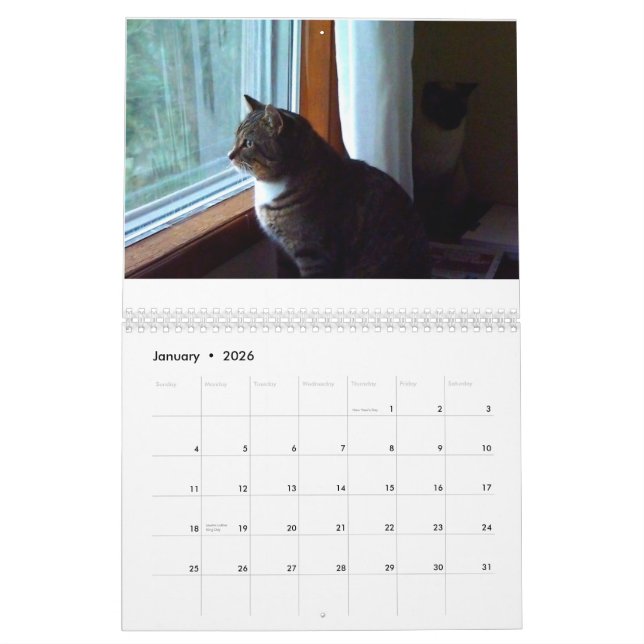 Calendario Tommy el Tabby (Jan 2026)