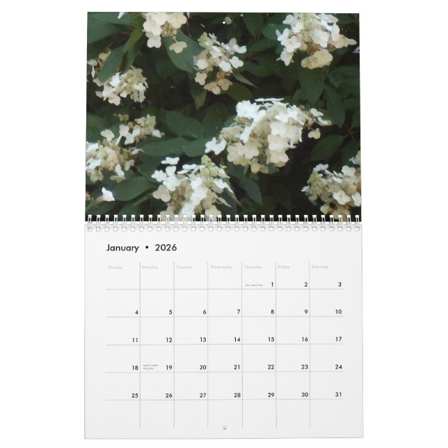Calendario Tonalidades 2013 del Hydrangea (Jan 2026)