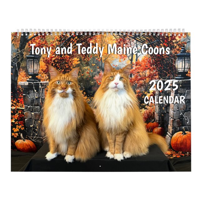 Calendario Tony y Teddy Maine 2025 (Tapa)