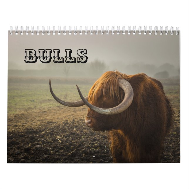 Calendario Toros (Tapa)