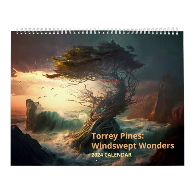 Calendario Torrey Pines: Maravillas de viento (Tapa)