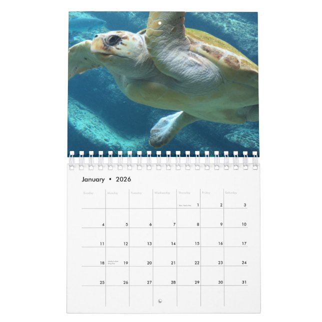 Calendario Tortuga marina (Jan 2026)