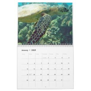 Calendario Tortugas de Hawái